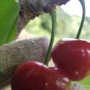 송광농장 이미지