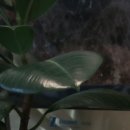 탁스치과의원 이미지