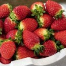 진희농장 이미지