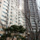 상현로42번길 이미지