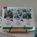 러브버드 | 경주 버드파크 먹이주기 아이랑 가볼 만한 곳 (내돈내산)