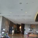 Marco Polo hotel Manila (마르코폴로호텔 마닐라)/내돈내산 후기