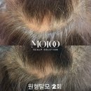 이플뷰티