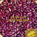 진양원예사 이미지