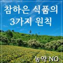 하은식품 네이버블로그