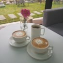 포레스트리 이미지