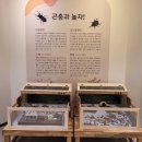 곤충생태전시관 네이버블로그