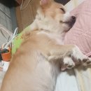 두리공판장 네이버블로그