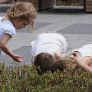 가시나