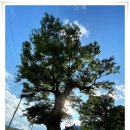 용천1리 이미지