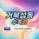 구피샵 시흥점 | 거북섬동 수족관 아쿠아리움 구피파는 곳 애완동물샵