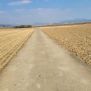 전하1통 이미지