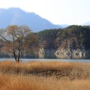 선기로2-10 이미지