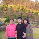 홍천초등학교 Daum카페