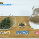 솔명 이미지