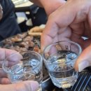 싸다구돼지 이미지