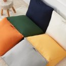 헤브(Reve) 이미지