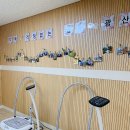 두손프라임 이미지