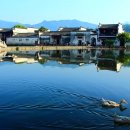 황산호
