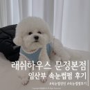 문정3차푸르지오아파트.송파파인타운1단지 | 송파 문정동속눈썹 래쉬하우스 문정본점 임산부 속눈썹펌 후기