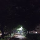 강서체육공원 이미지