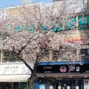 쁘숑베이커리 - 수원시 장안구 수성로 356 | 쁘숑베이커리