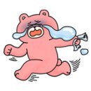 BOB 애견용품 아울렛 이미지