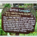 허브나라농원 이미지
