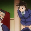 한자로의 산책 이미지