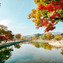 세계문화유산을 품은 수원화성르네상스 | 서울 및 경기도 단풍명소 추천 가볼만한곳 경복궁 수원화성 광릉수목원