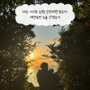 남원읍-40 | 제주 서귀포 남원 큰엉해안경승지 애견동반 노을 산책후기