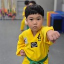 도원태권도장 이미지