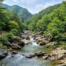공룡닭발 밀양점 | 의성 빙계계곡 여름 피서지 총정리 | 삼복더위 얼음 어는 풍혈·빙혈 천연에어컨 완벽 가이드