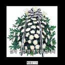 도봉-도봉-서울도봉-2326 이미지