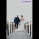 강남잉꼬결혼 이미지