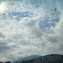 지율 | 성남점집 도비사 지율선생님이 소름돋는 이유