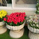 샤론농장 이미지