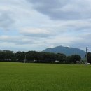 운봉주유소 이미지