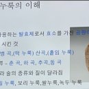 태초애 이미지