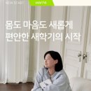 마른파이브 이미지