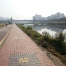 중랑천 이미지