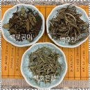 진하오차숭의점 | 인천찻집 차 한 잔의 여유, 진하오차 숭의점