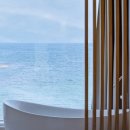 스테이고성 이미지