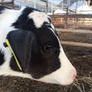 충만농장 이미지