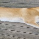 용산-현장-40 이미지