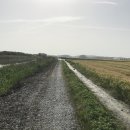 진봉면사무소 이미지