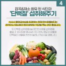 중독언니네