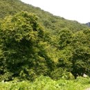 함박골농장 이미지