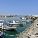 하귀환승정류장 이미지