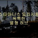 스타 아니스 | 스타아니스 일리시움 독특한 별형 허브